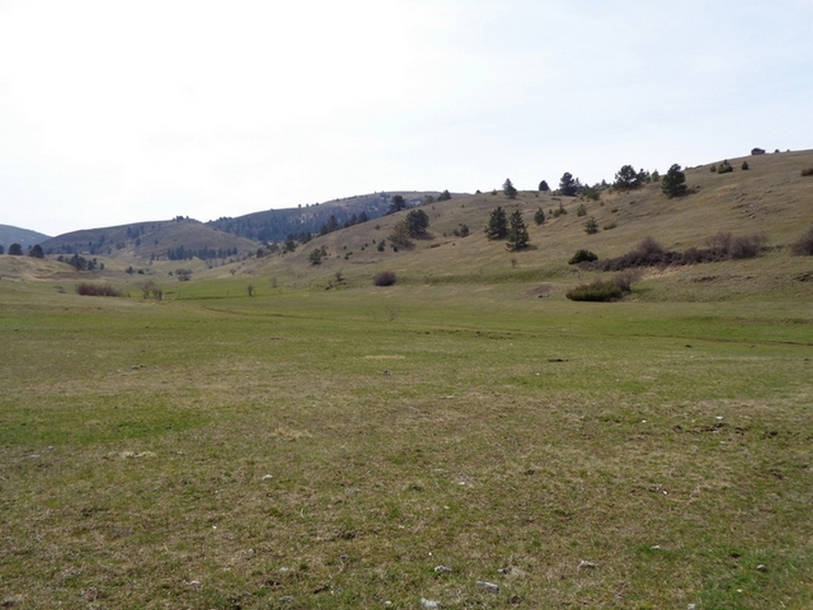 Prati in quota siamo intorno ai 1200/1300 m.
