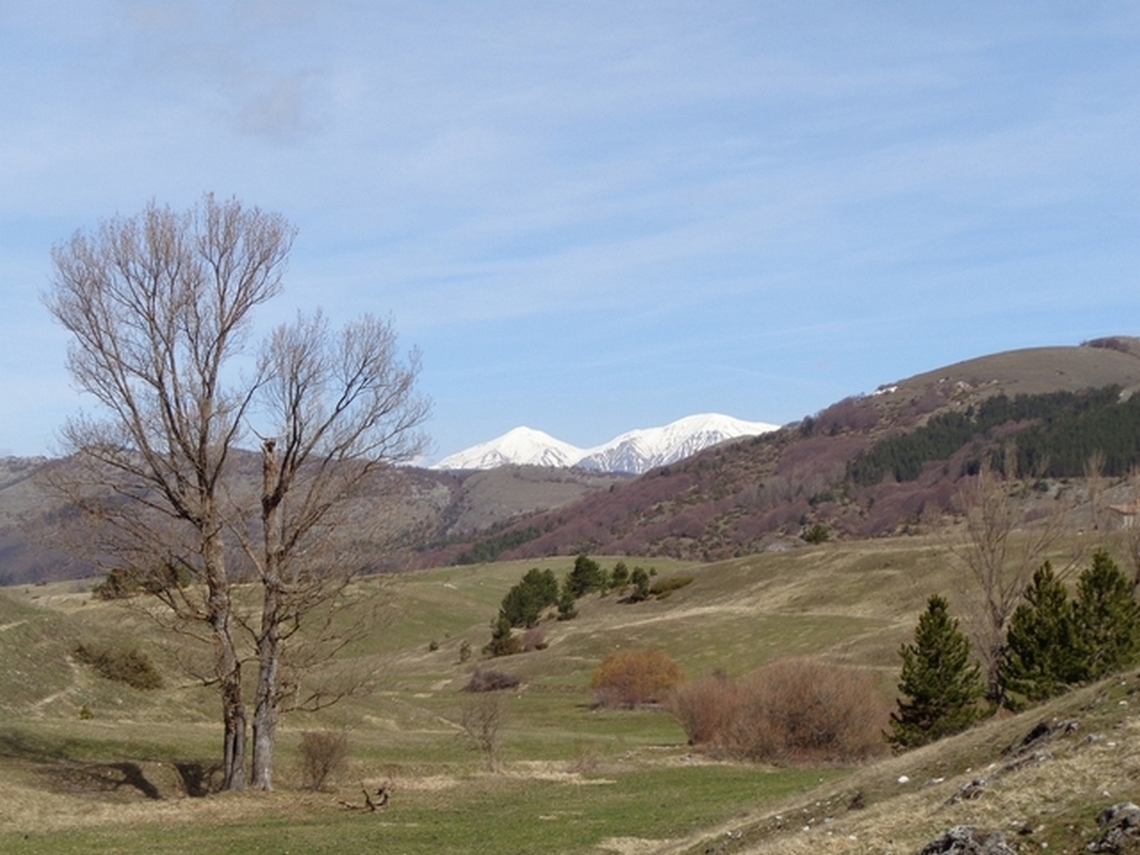 Pizzo di Sevo da lontano
