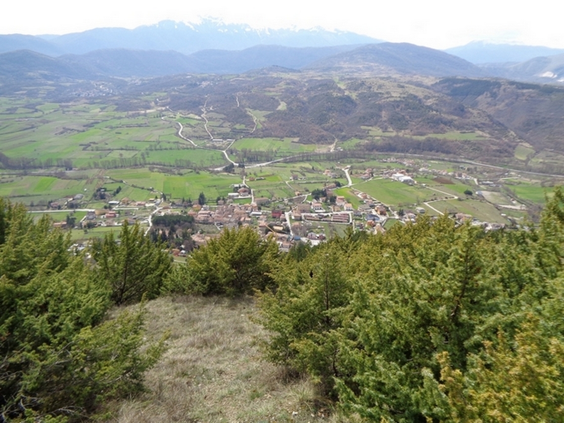 Inizia la vegetazione più fitta
