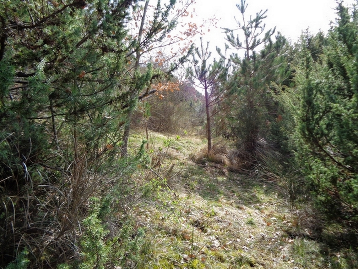 Siamo quasi arrivati a Barete