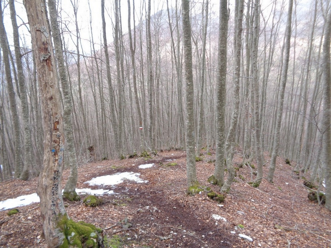 L'inizio del sentiero