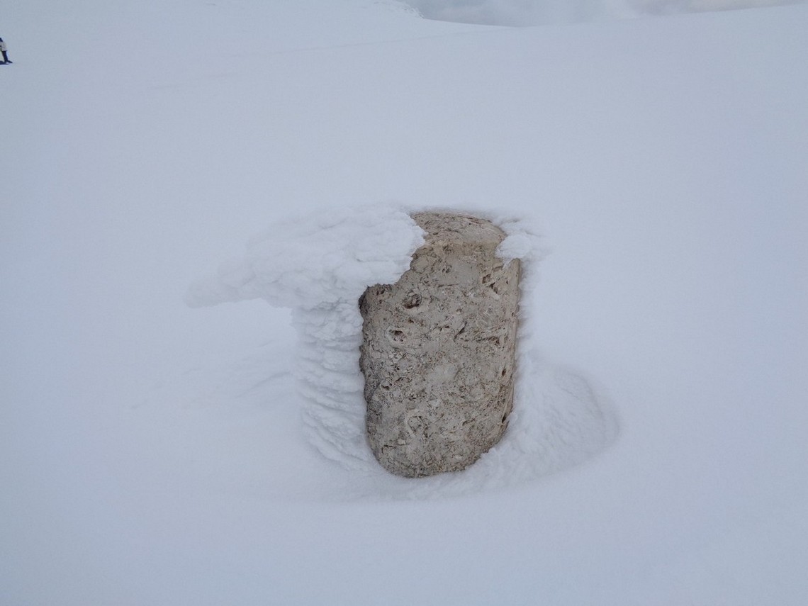 Pensate da quanti anni vede la neve