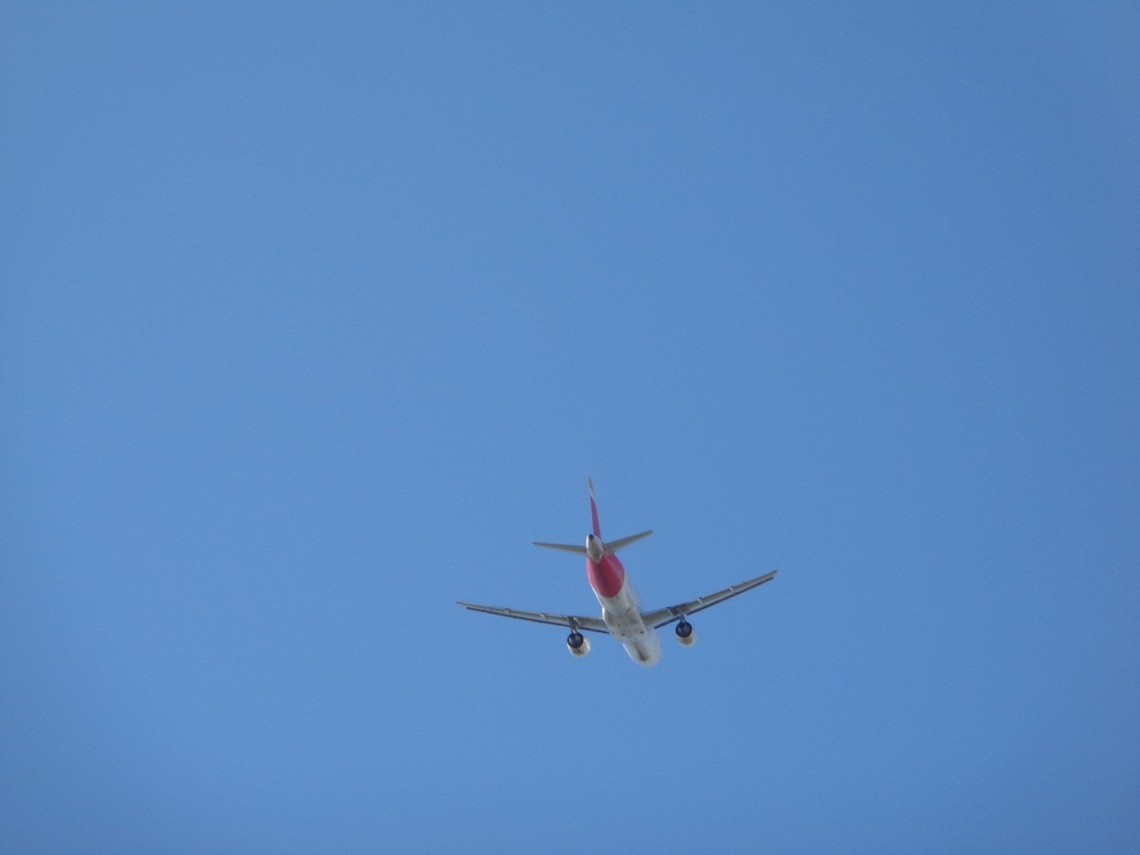 vite in volo
