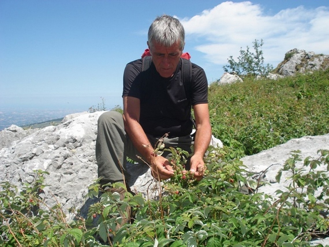 Il Mitico Vincenzo ABBATE
