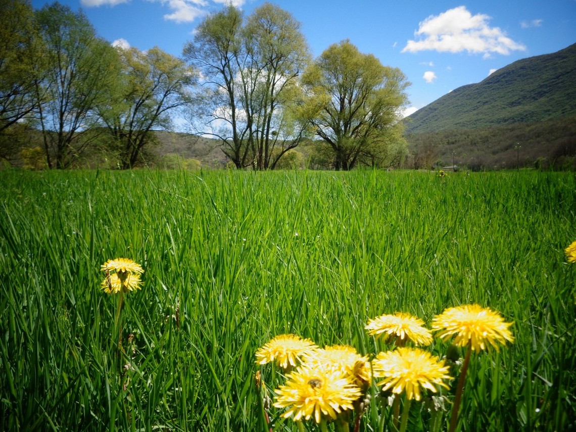 L'ho definito " Il Paradiso "