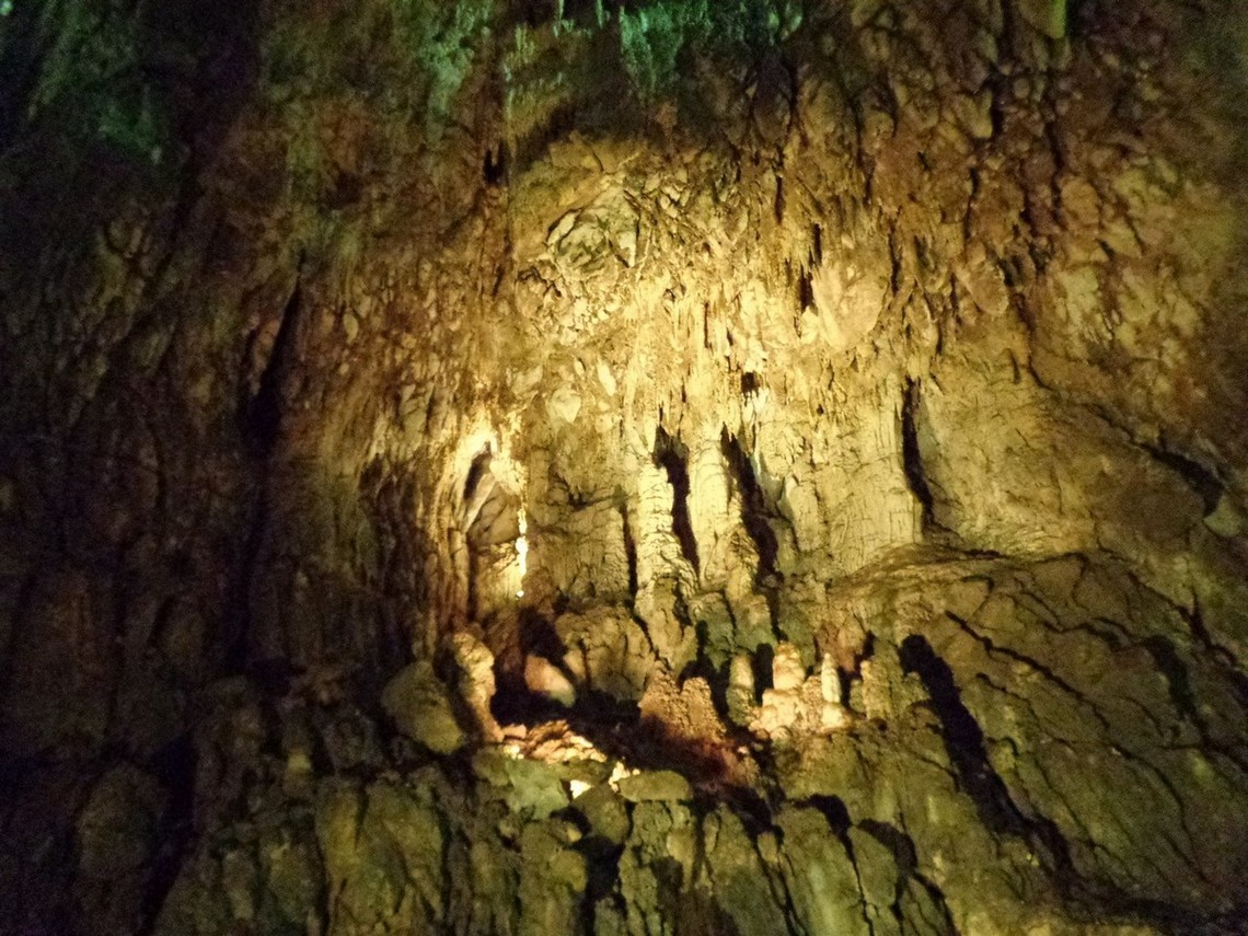 Pipistrelli nascosti ?