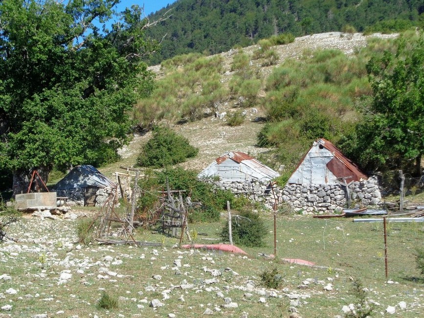 Antichi ritrovi pastorali sulla prima radura di quota