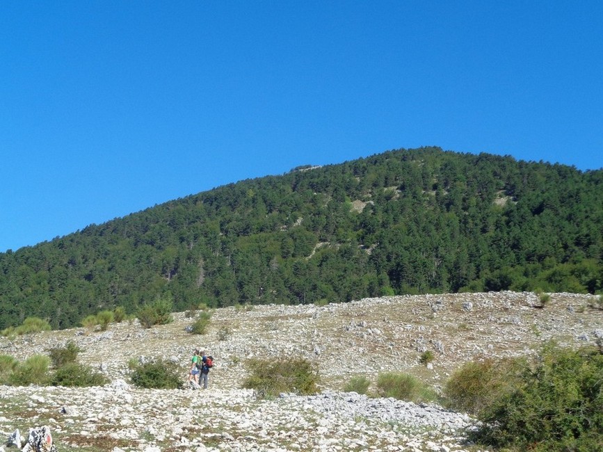 Saliremo anche lassù