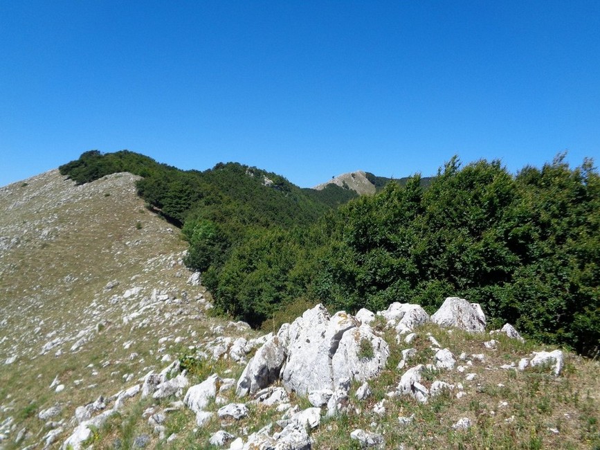 Arriveremo sulla Cima in fondo a destra