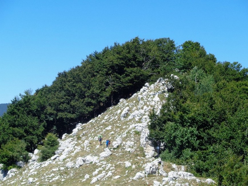 Quasi arrivati