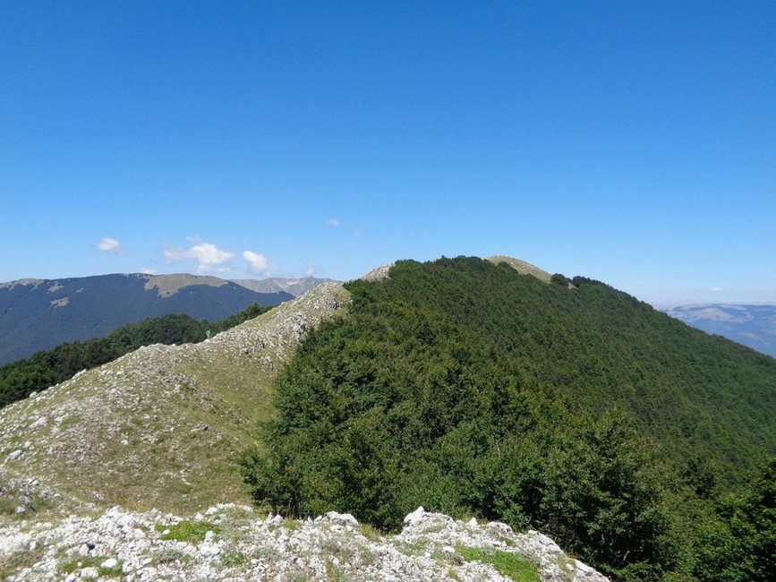 Simona Prosperi mi aspetta li sopra