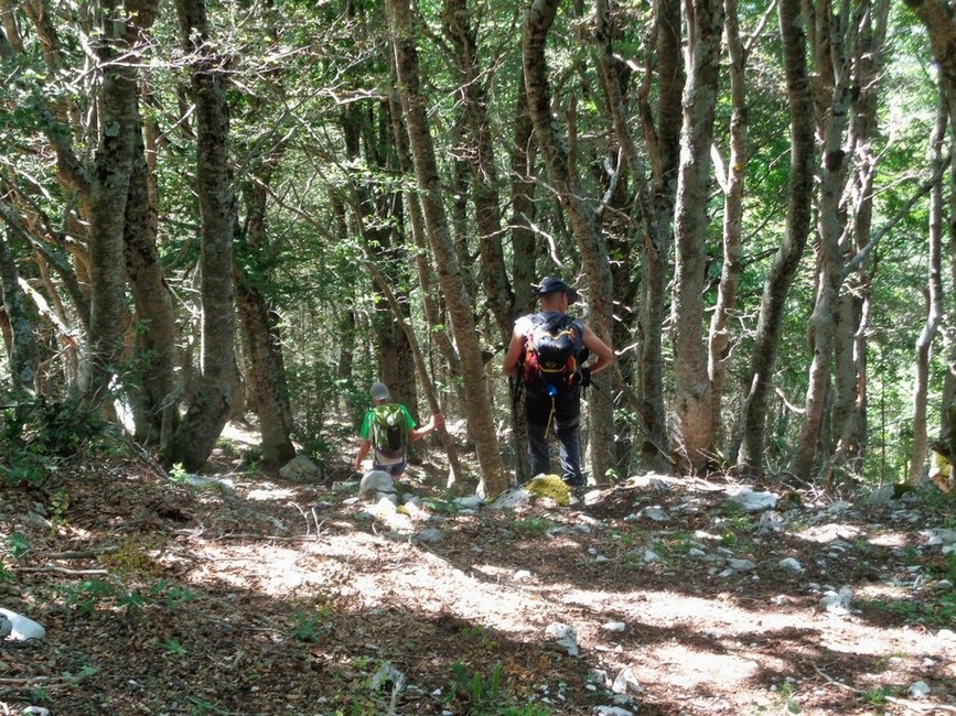 Si entra di nuovo nel bosco dalla parte opposta