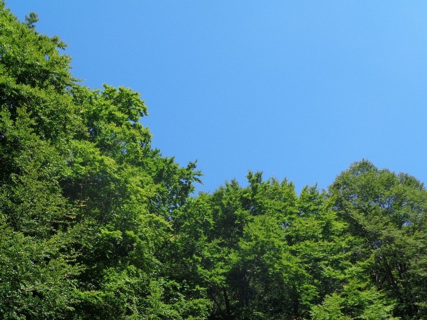 Il contrasto tra il verde e l'azzurro