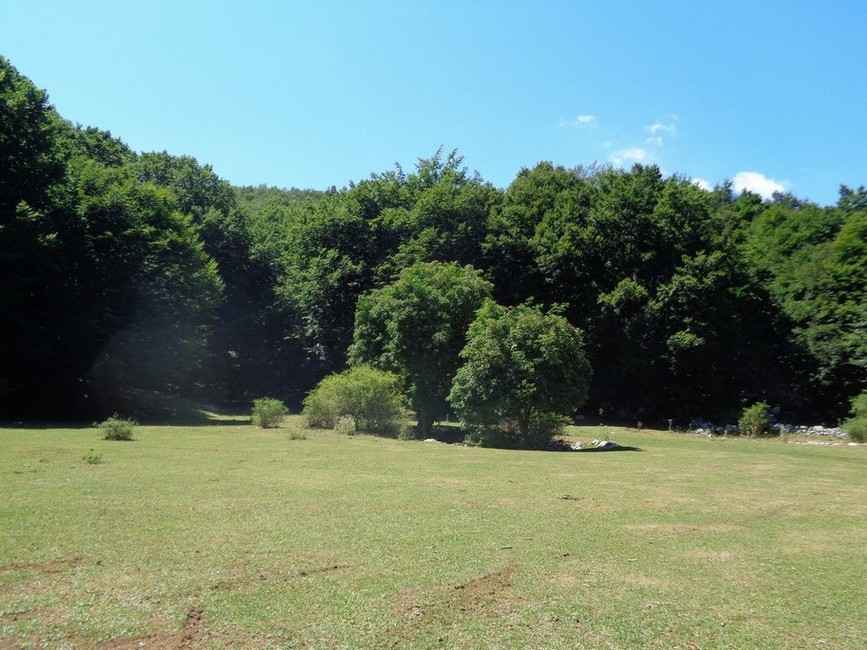 La Radura