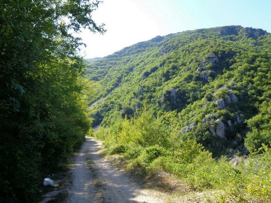 Sono 4.5 Km di strada preparatevi