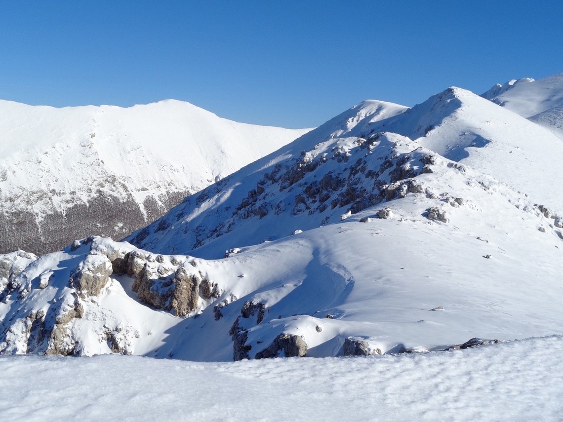Noi continueremo in questa direzione