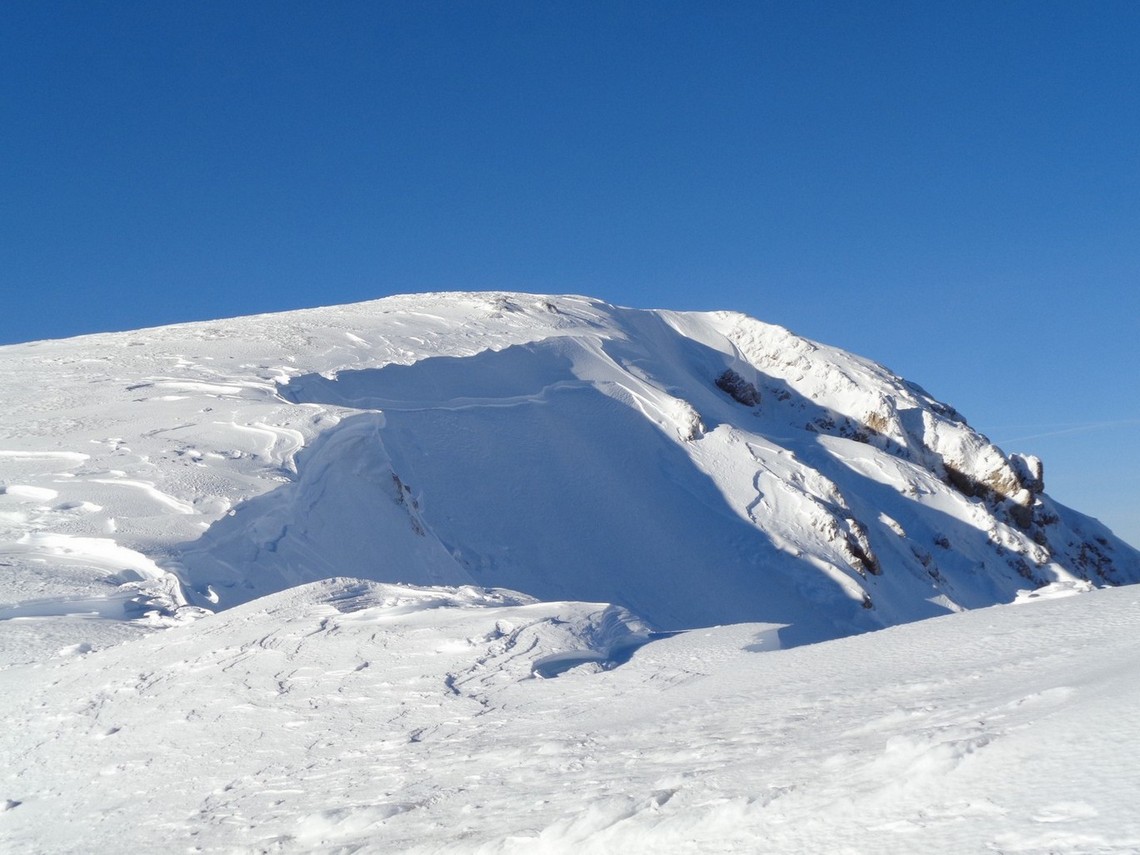 Cornici