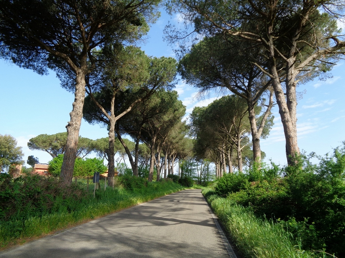 Strada molto bella