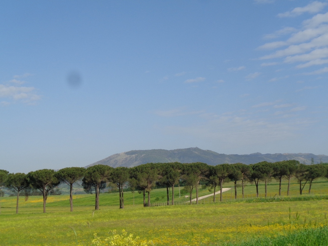 Uno sguardo verso Nord