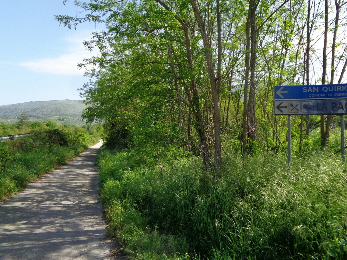 Molta vegetazione