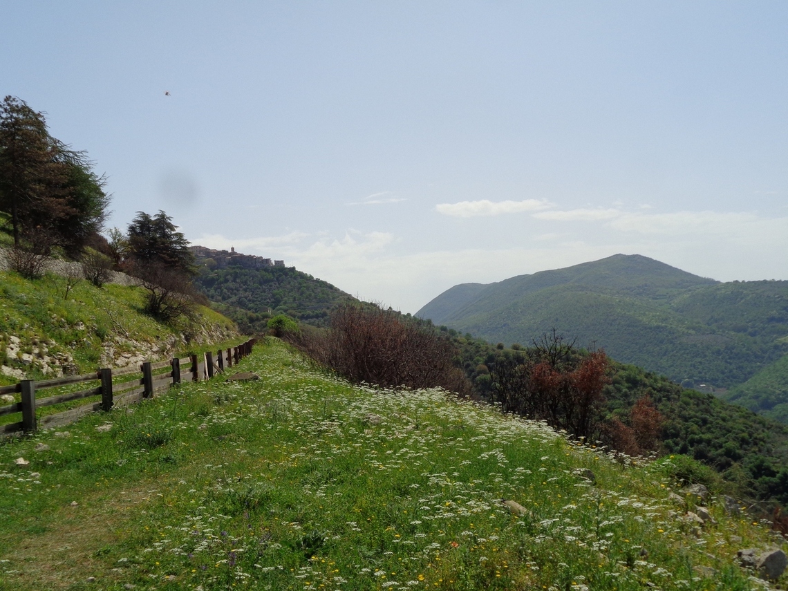 Verso Acuto