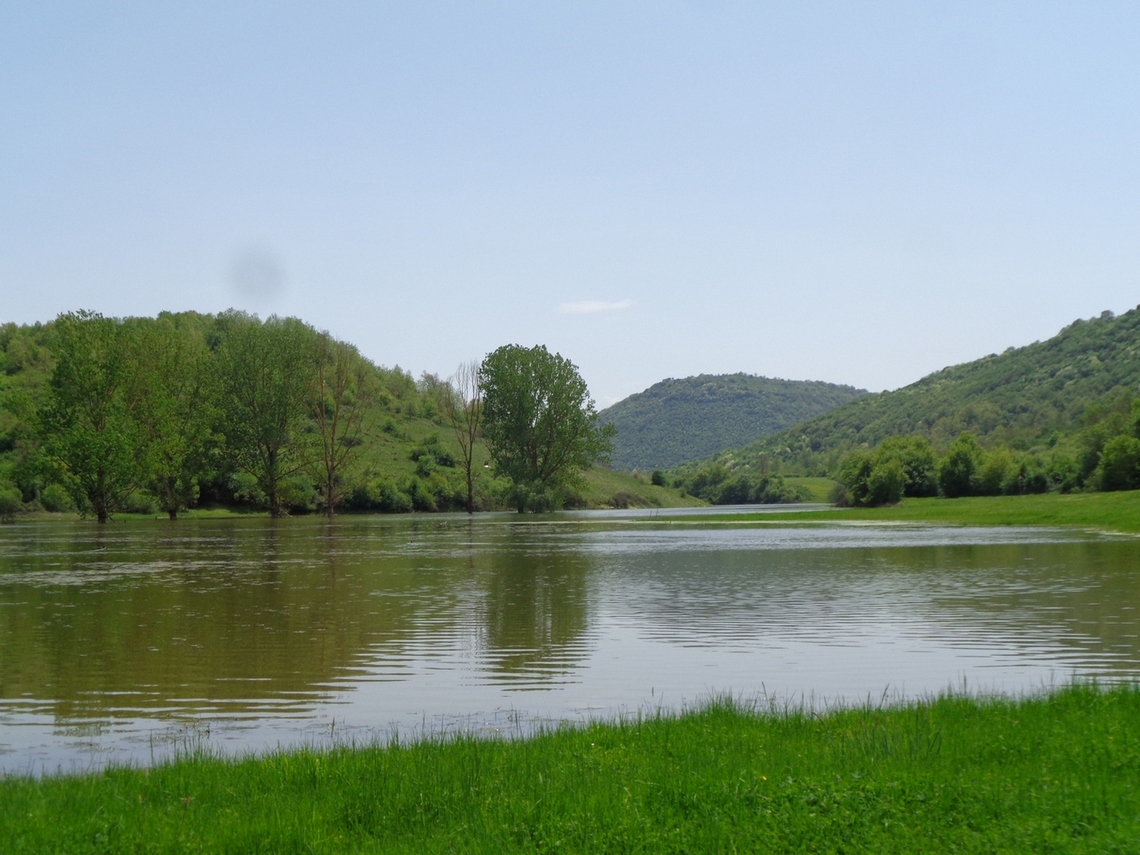 Quest'anno c'è molta acqua