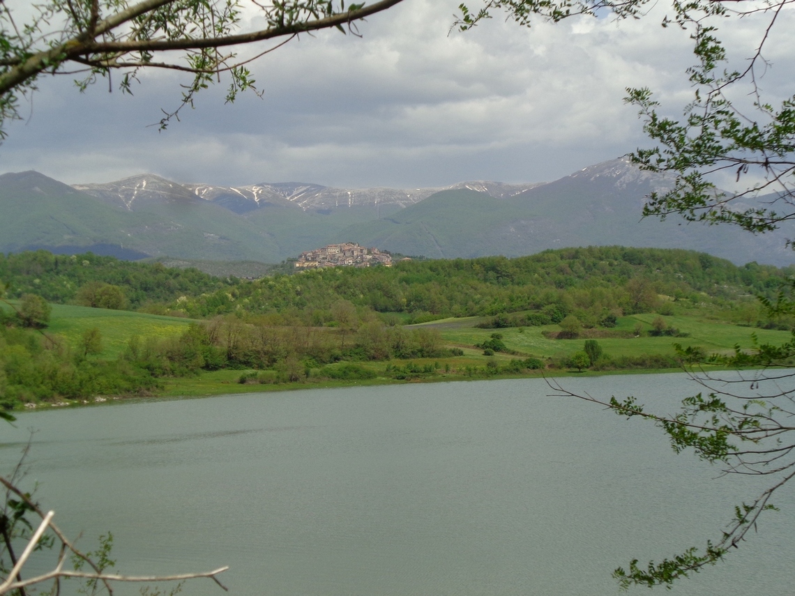 Bellissimo
