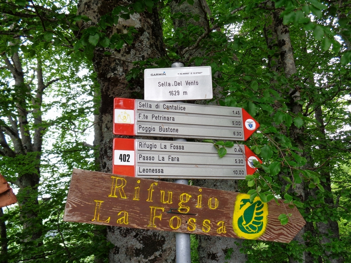 Indicazioni