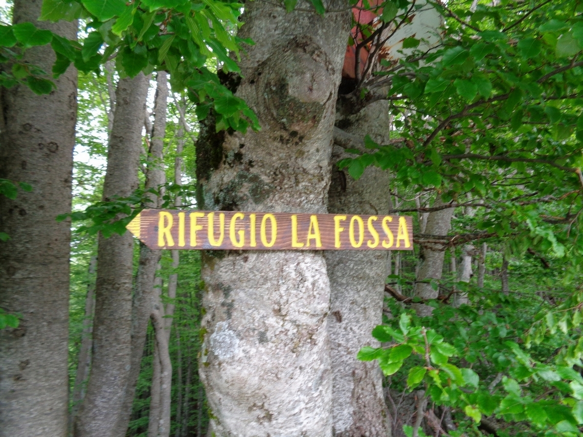 Ci avviciniamo