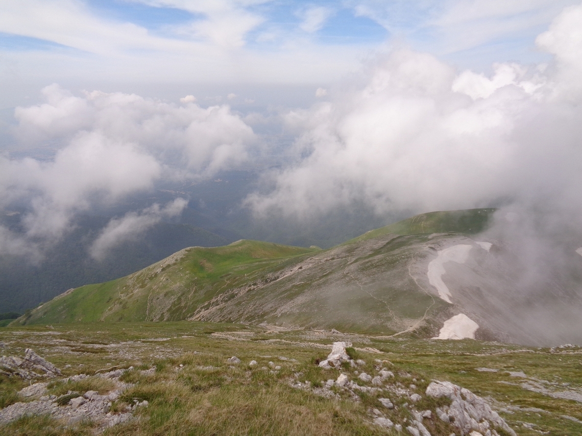 Siamo saliti da li
