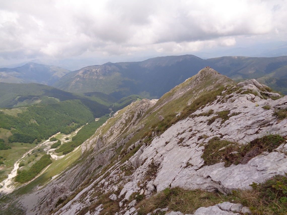 panorami