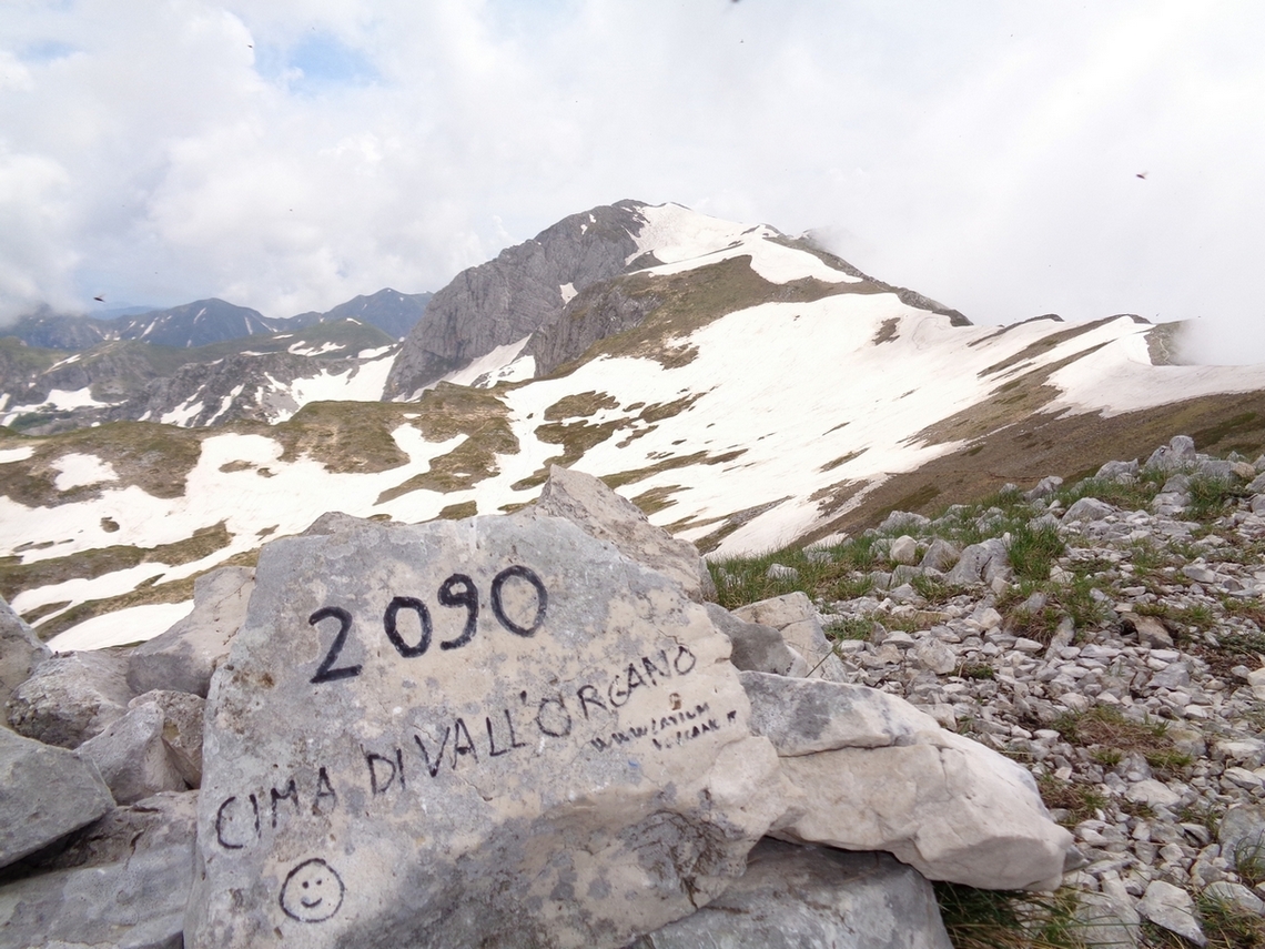 Ciao Cima