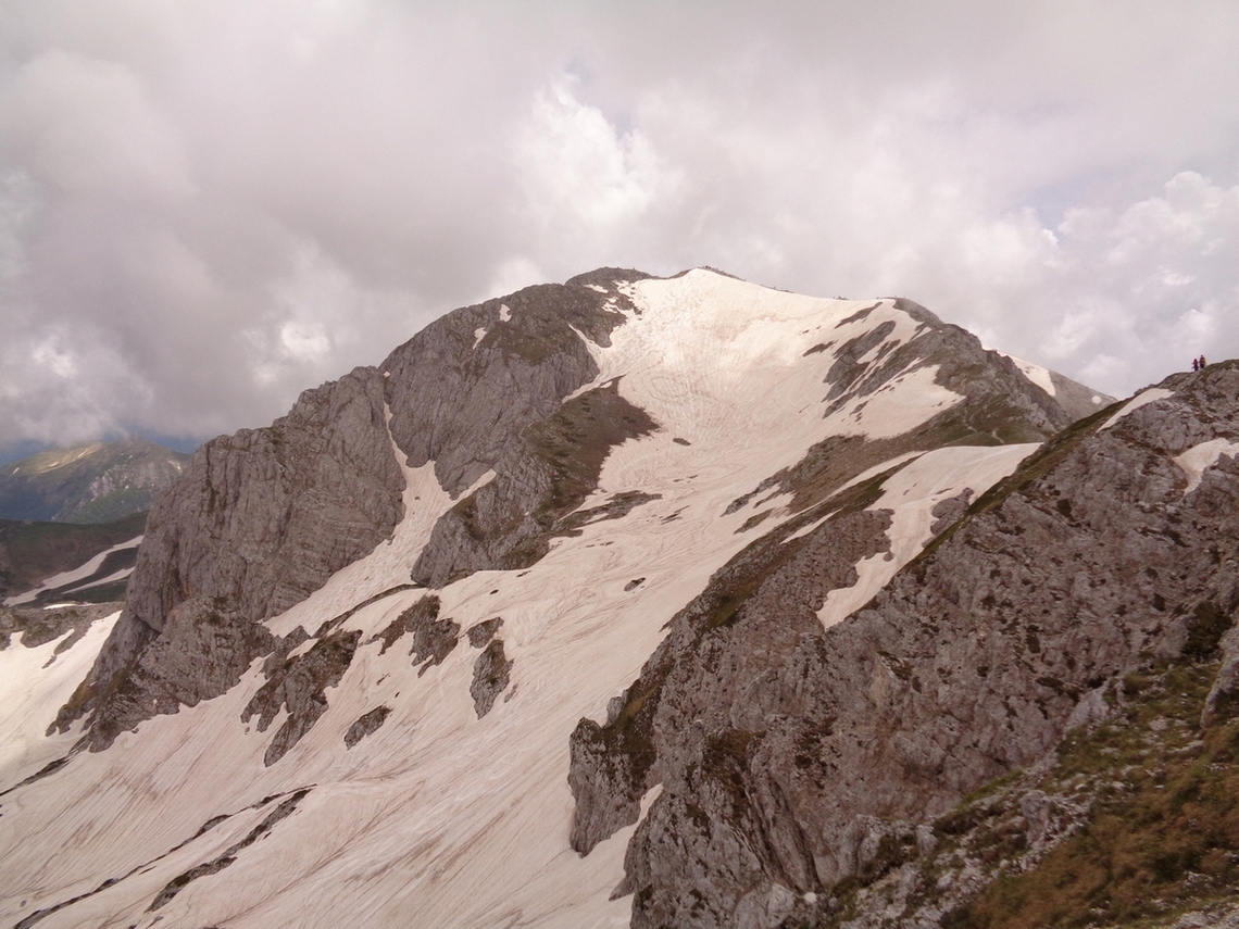 Il terminillo è stato invaso