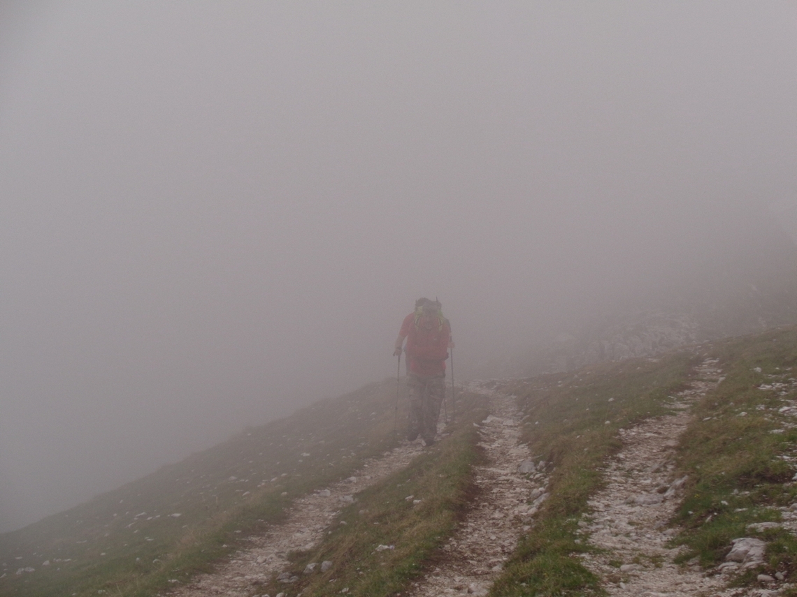 nebbia fitta