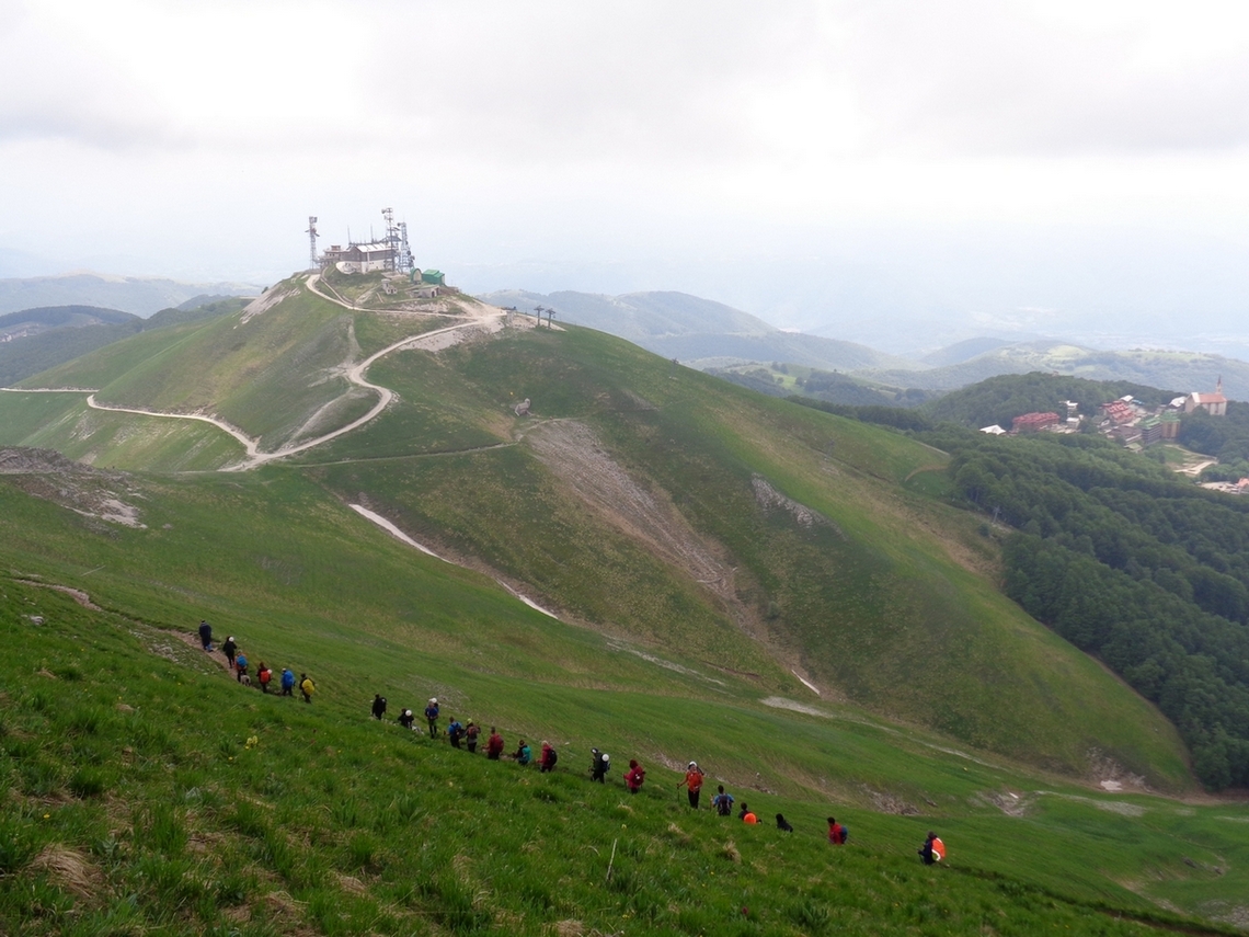 Il cordone finale
