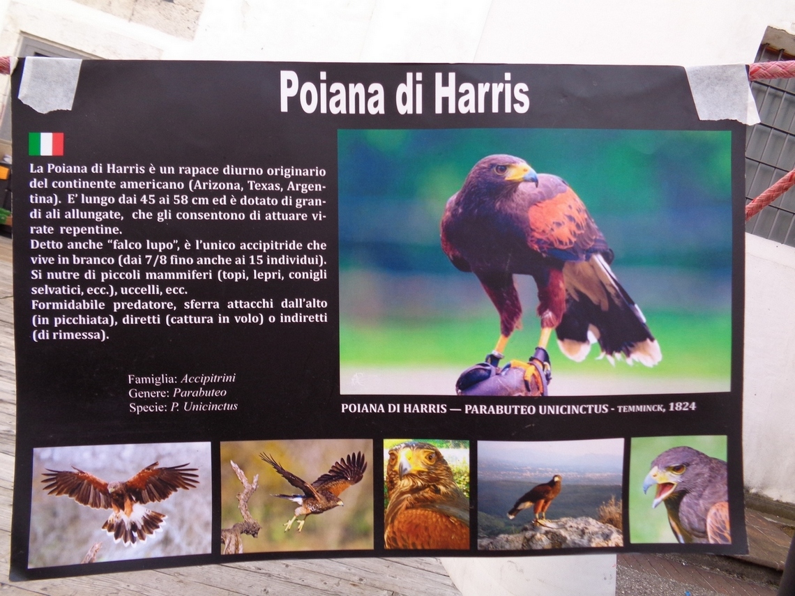 La Poiana
