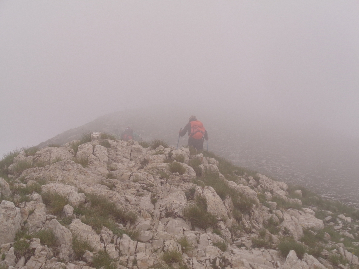 Sempre dentro la nebbia