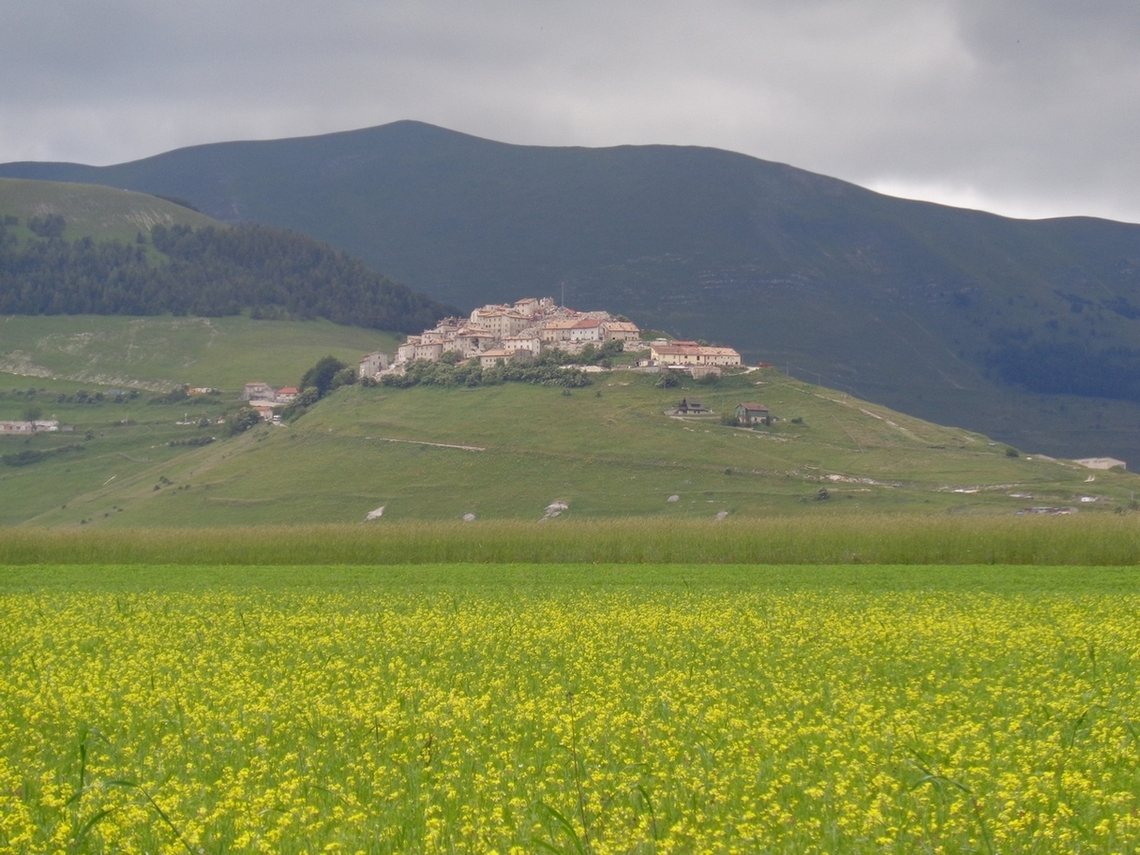 Primo piano di Casteluccio