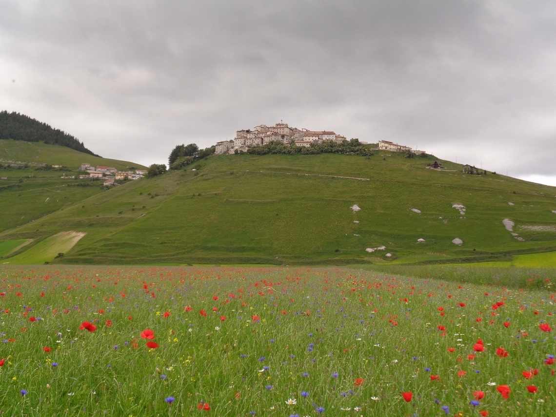 Fra qualche giorno ci sarà una esplosione di colori