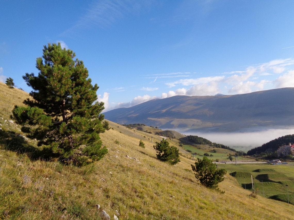 La nebbia sempre affascinante