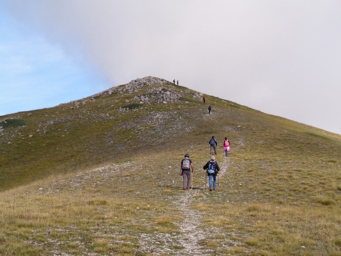 Continua il cammino