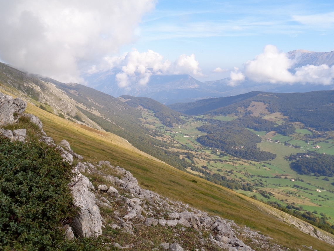 Verso il Bosco di Sant'Antonio