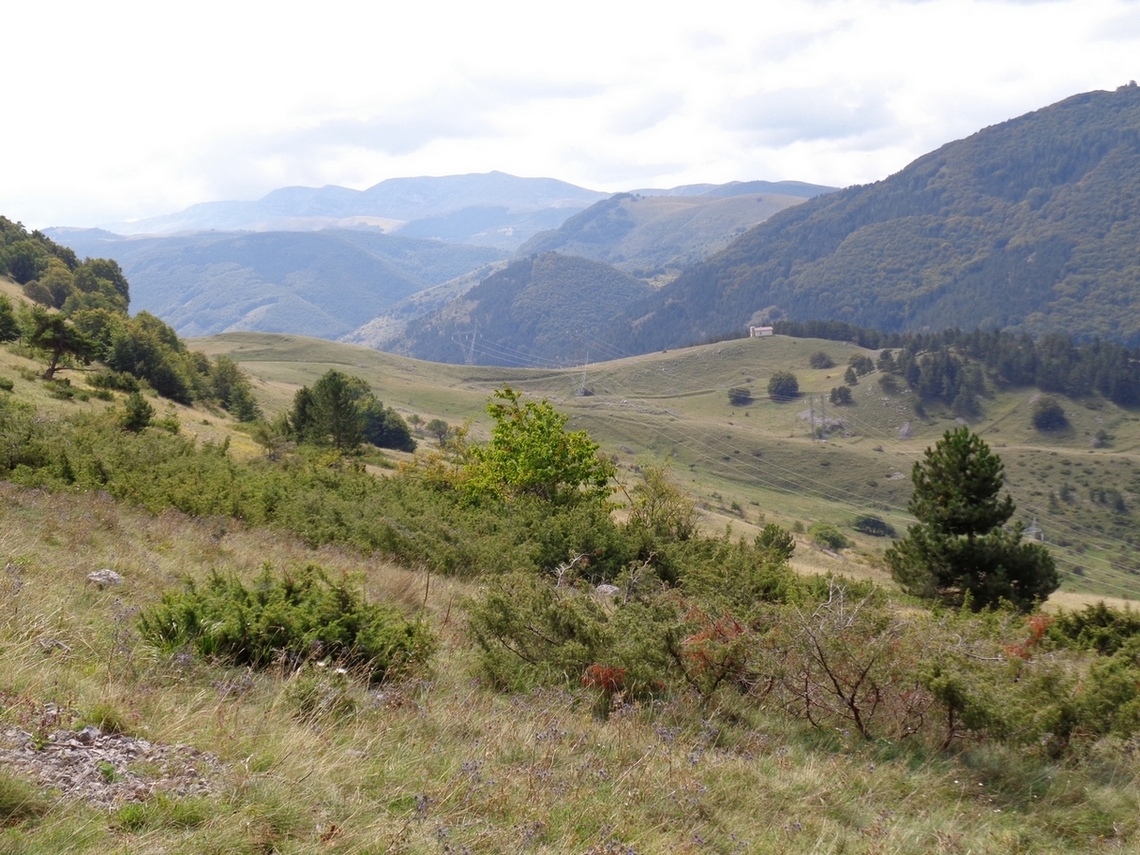 Panorami opposti