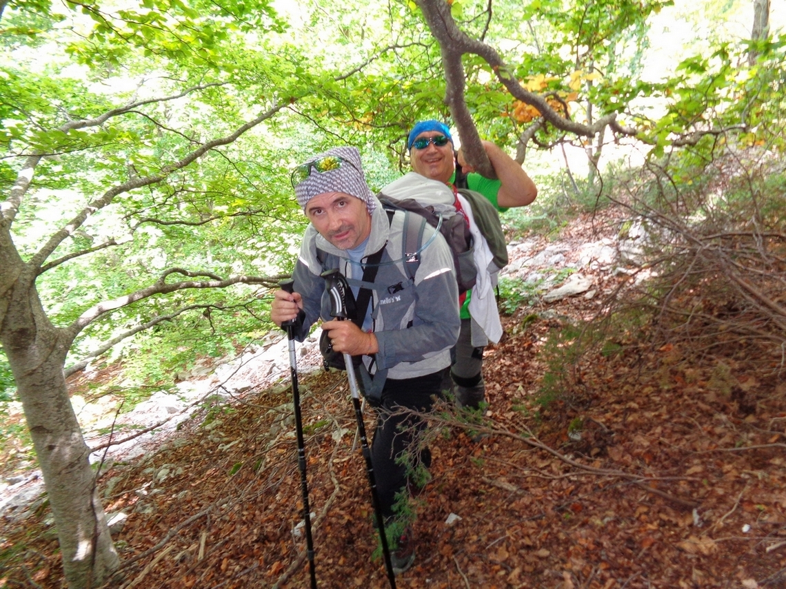 ci addentriamo nel bosco
