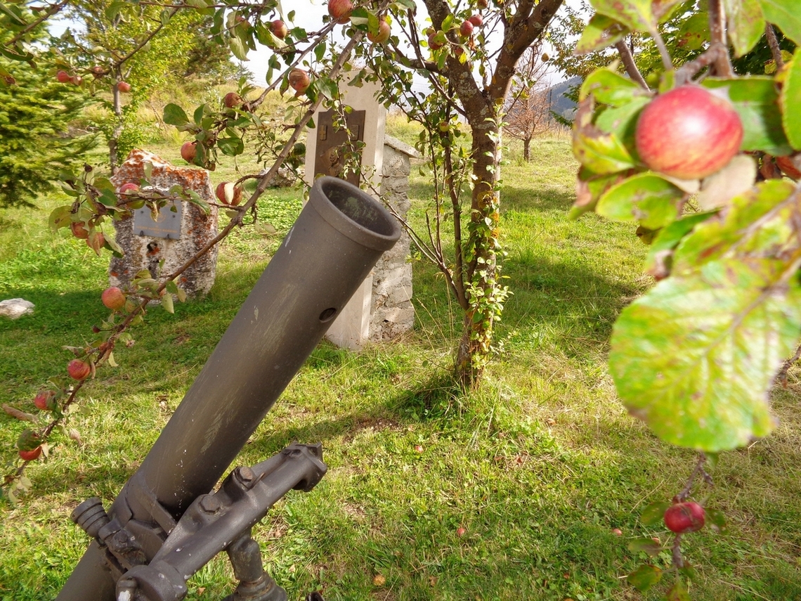 frutta e morte