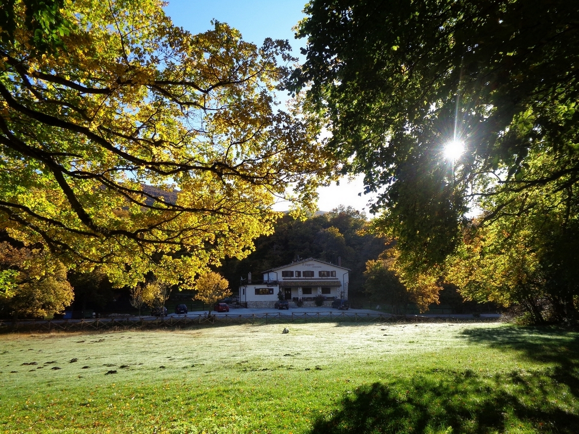 Dentro al bosco