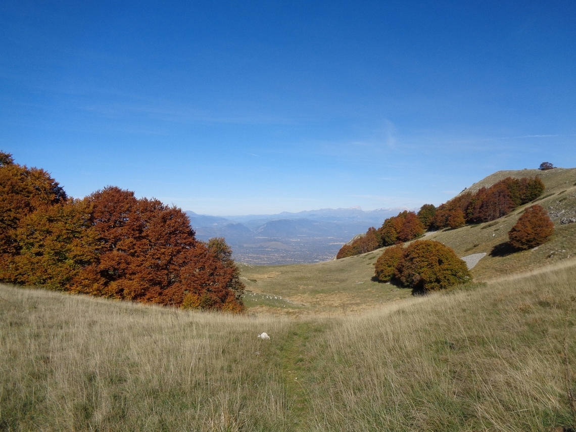 si esce dal bosco
