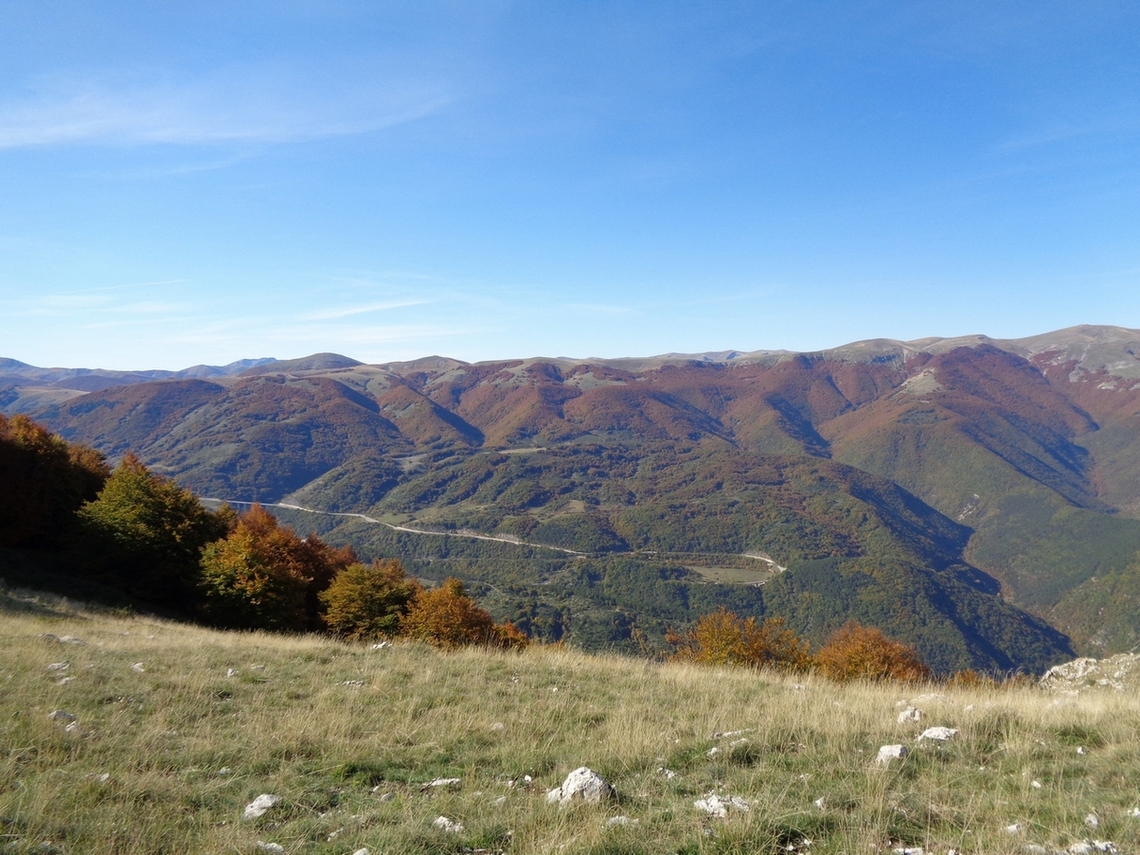 verso il PNALM