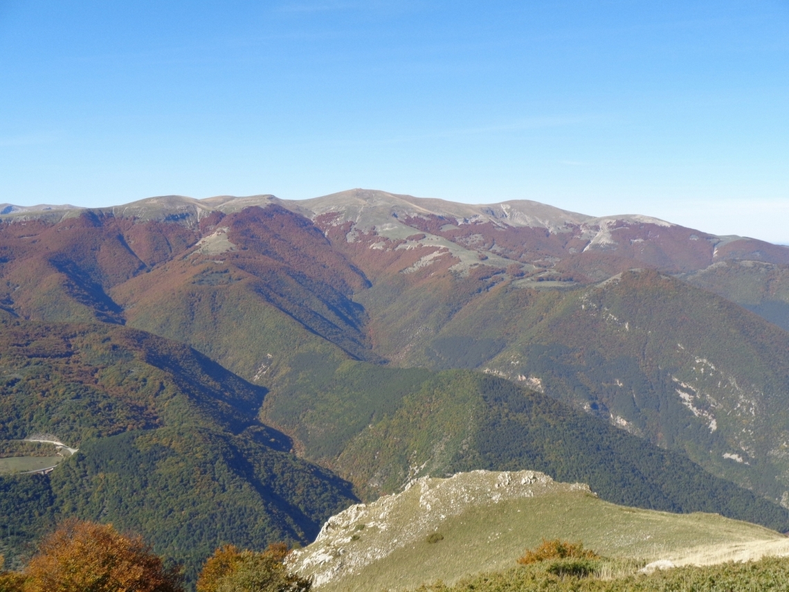 verso il PNALM