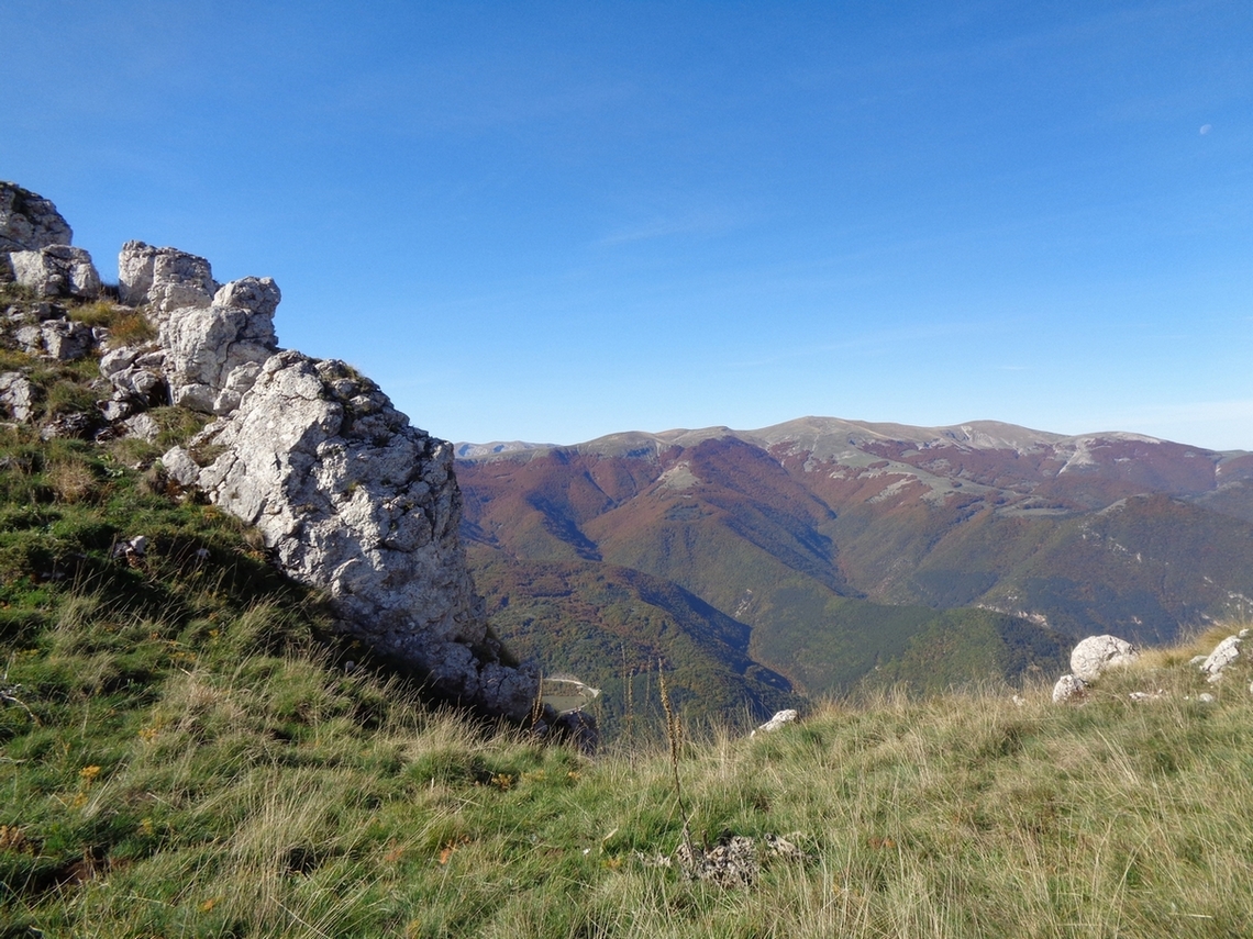 Le prime roccette